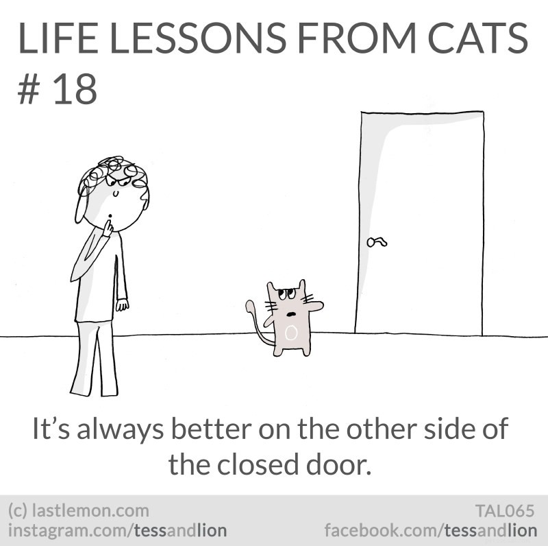 21 Endearing Cat-Inspired Life Lessons From NYT Bestsellers