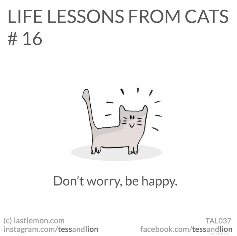 21 Endearing Cat-Inspired Life Lessons From NYT Bestsellers