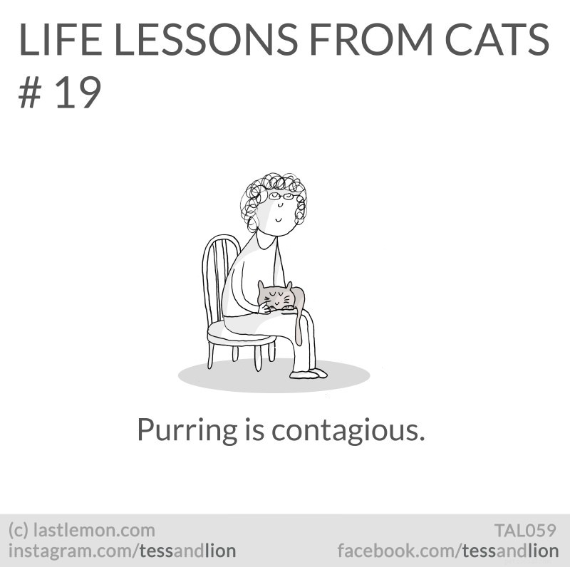 21 Endearing Cat-Inspired Life Lessons From NYT Bestsellers