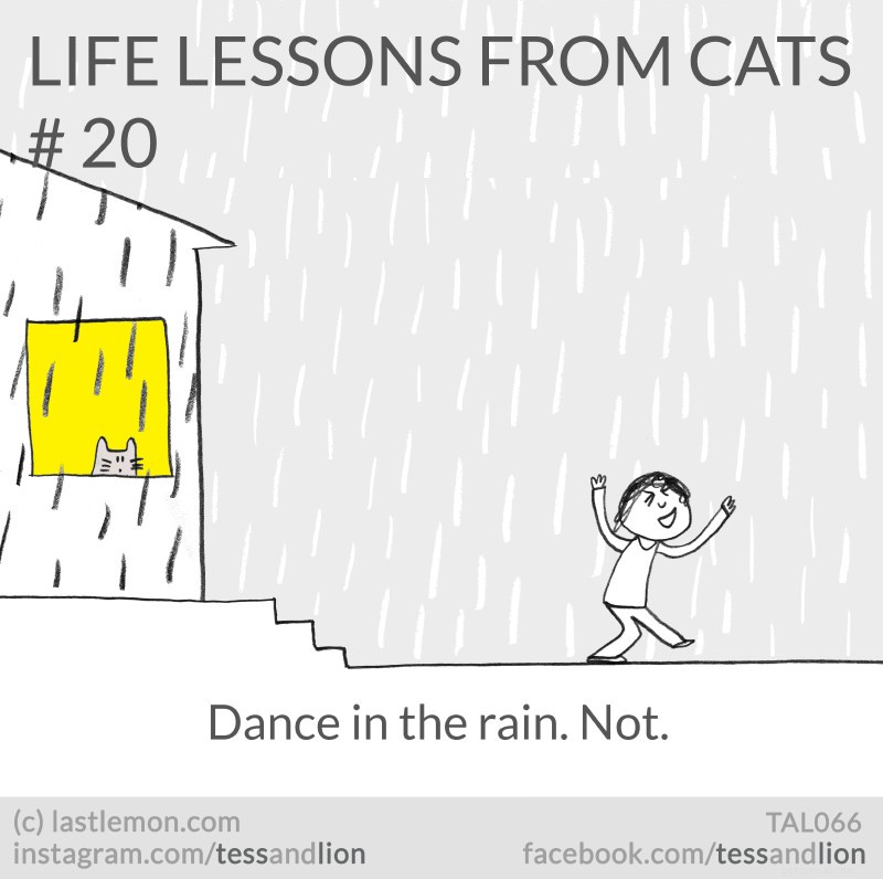 21 Endearing Cat-Inspired Life Lessons From NYT Bestsellers