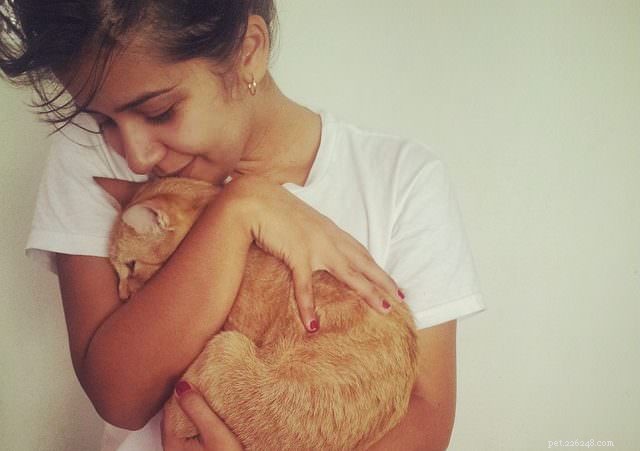 5 Expert Ways to Show Your Cat You Love Them in Their Own Language