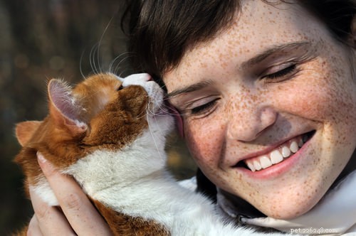 Vet Explains Why Your Cat Keeps Licking You
