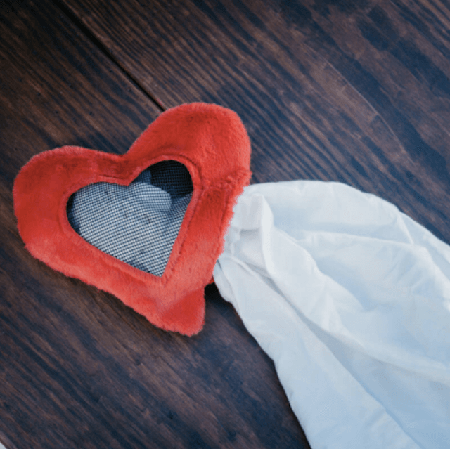 Managing Your Cat s Separation Anxiety: Practical Tips for Safe, Stress-Free Days
