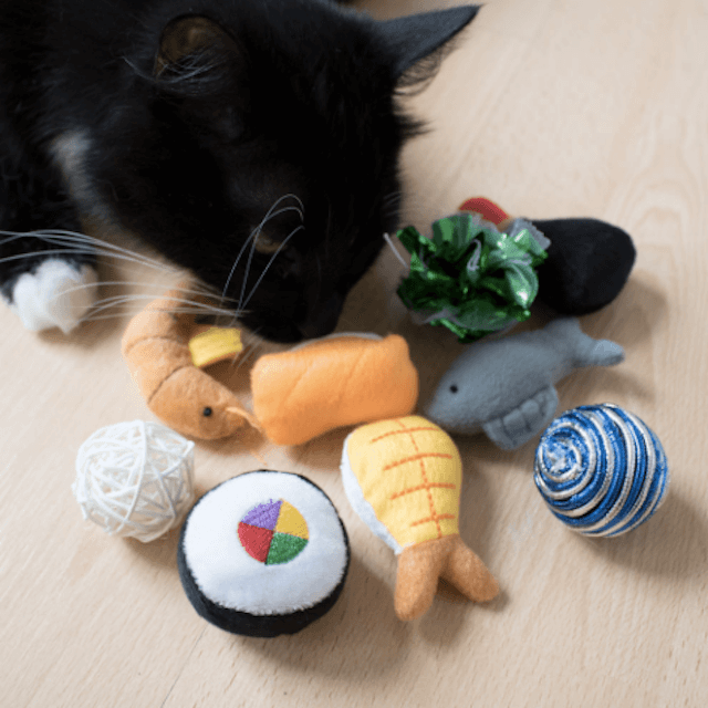 5 Clear Signs Your Cat Is Bored—and How to Keep Them Engaged