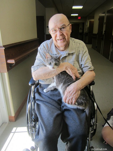 Could Your Cat Become a Certified Therapy Animal? A Step‑by‑Step Guide