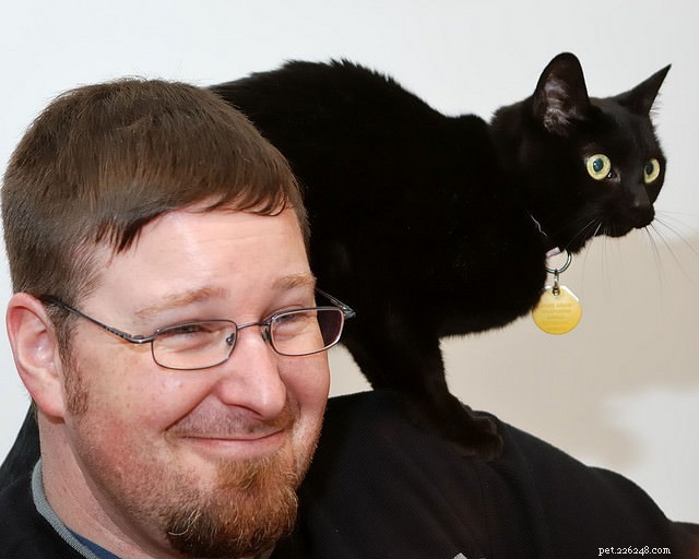 9 Cat Breeds Renowned for Snuggly Affection