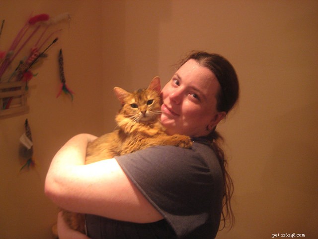 9 Cat Breeds Renowned for Snuggly Affection