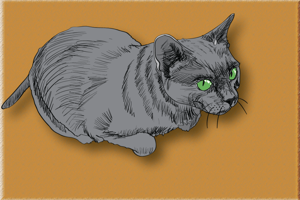 8 Cat Breeds Thriving in Winter Weather