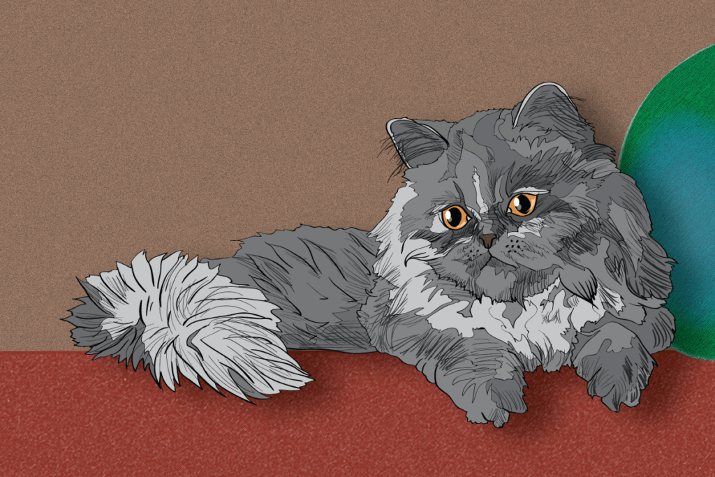 8 Cat Breeds Thriving in Winter Weather