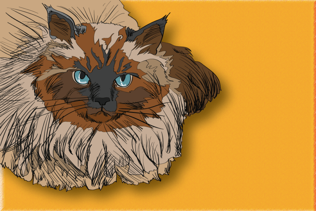 8 Cat Breeds Thriving in Winter Weather