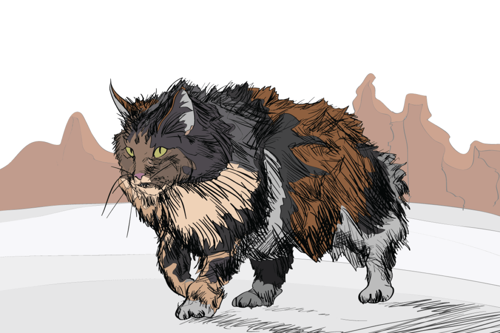 8 Cat Breeds Thriving in Winter Weather