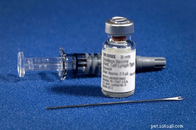 Understanding Titer Tests: Essential for Your Pet’s Health