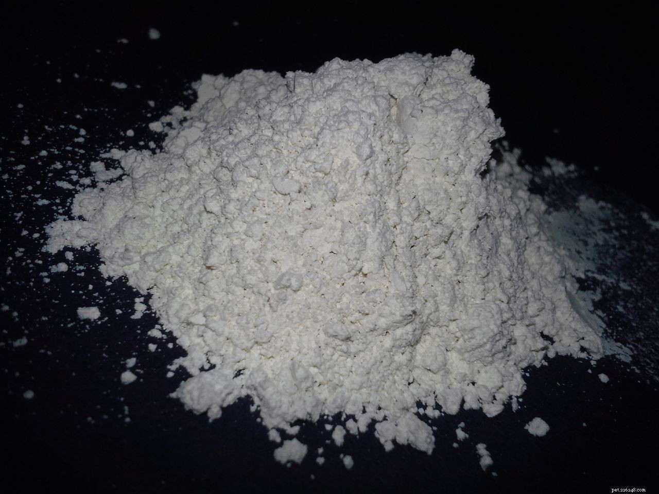 Safe Pet-Friendly Diatomaceous Earth: Benefits, Uses, & Tips