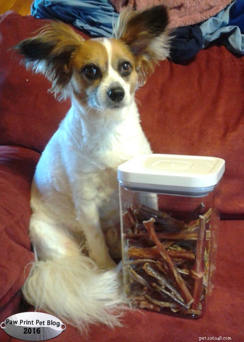Dried Treats for Dogs: Homemade, Simple, and Safe