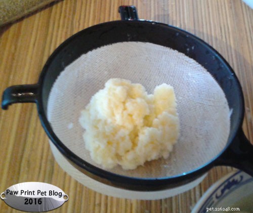 Kefir: The Probiotic Powerhouse in Every Sip
