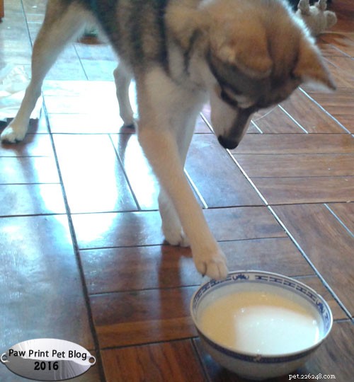 Kefir: The Probiotic Powerhouse in Every Sip