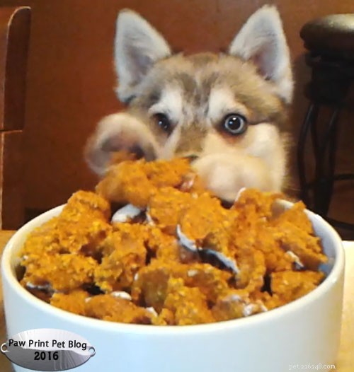 Irresistible Homemade Treats: A Must-Have for Your Pup