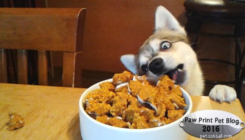 Irresistible Homemade Treats: A Must-Have for Your Pup