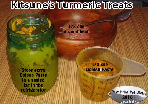 How Turmeric Revitalized Kitsune: A Papillon’s Recovery Story