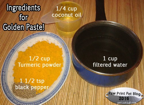 How Turmeric Revitalized Kitsune: A Papillon’s Recovery Story