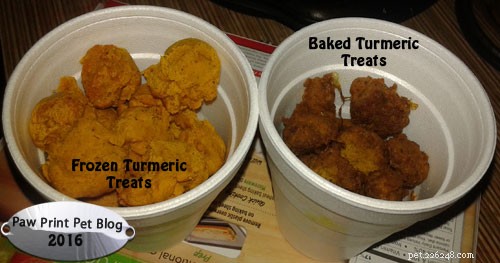 How Turmeric Revitalized Kitsune: A Papillon’s Recovery Story