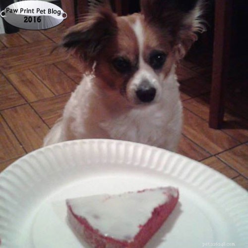Calculate Your Pet s Caloric Needs: A Simple Guide to Healthy Weight Management