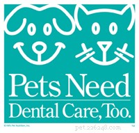National Pet Dental Health Month: Whimzees & Expert Tips for Healthy Smiles