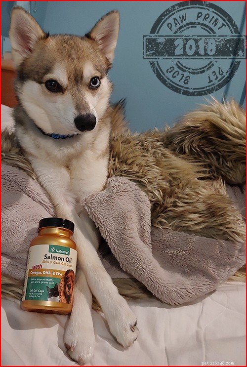 Why Salmon Oil Boosts Your Dog s Health