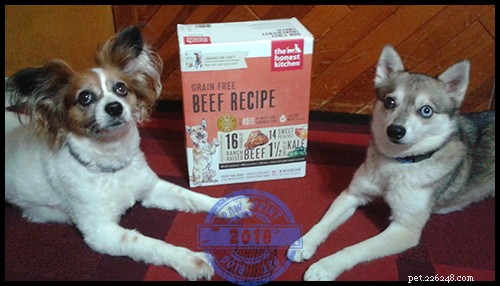 How The Honest Kitchen Foods Benefit My Dogs – Insights from a Chewy Influencer