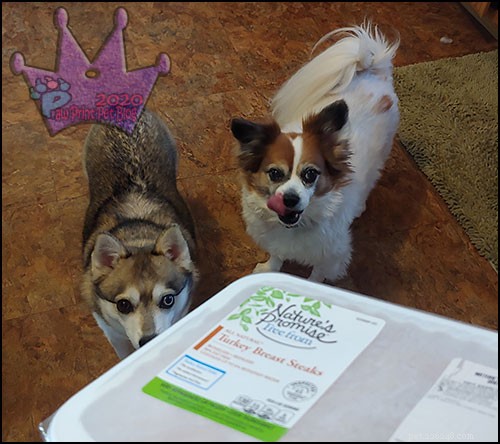 Safe Thanksgiving Treats Your Dog Can Enjoy