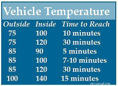 Preventing Heat-Related Pet Tragedies: How to Keep Your Dogs Safe in Cars