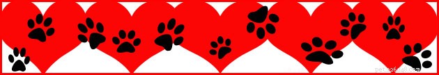 April: Dedicated Heartworm Awareness Month – Protect Your Pets Today