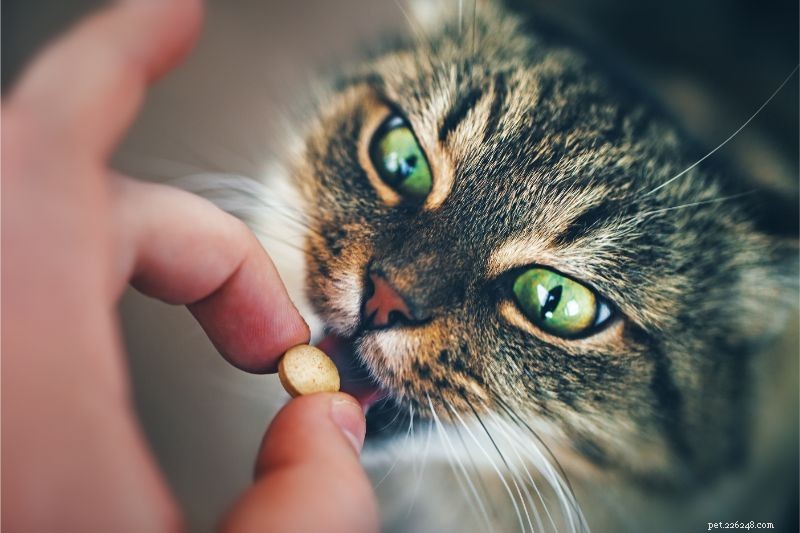 Easily Give Medications: Premium Pill Pockets Designed for Pets