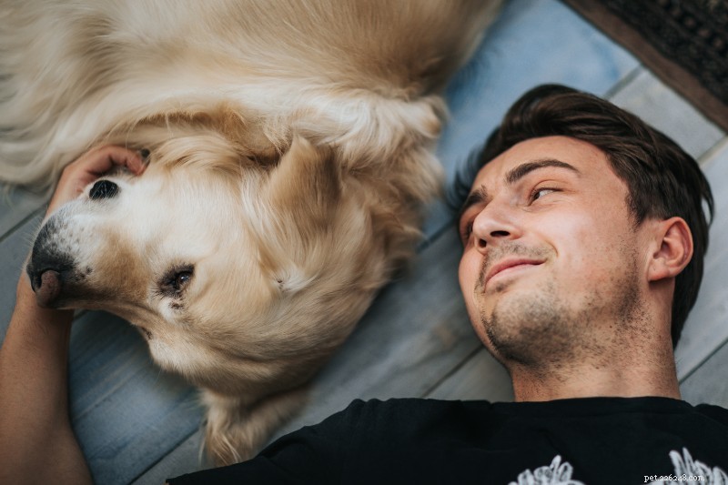 Surprising Wellness Benefits of Relaxing with Your Pet
