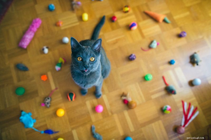 Beware: Hidden Risks in Popular Pet Toys
