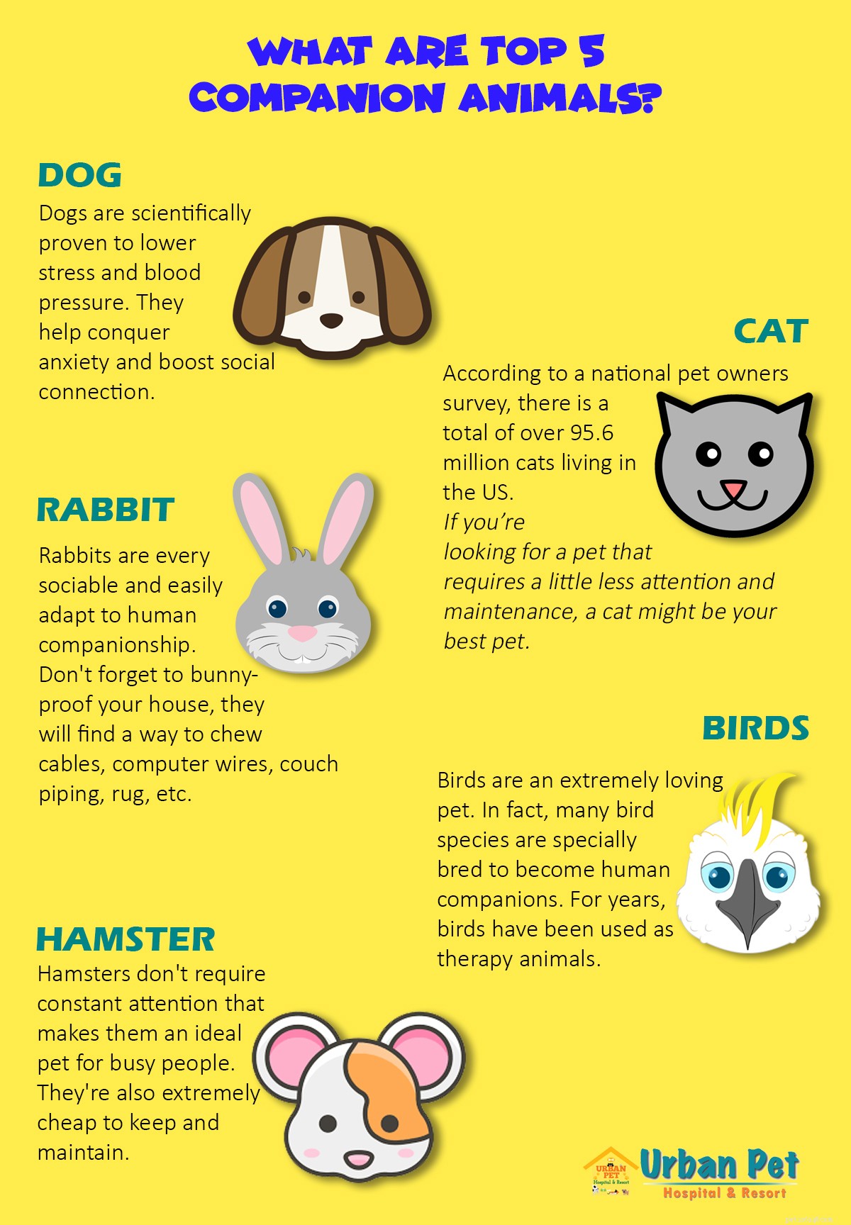 Top 5 Companion Animals That Bring Joy and Health