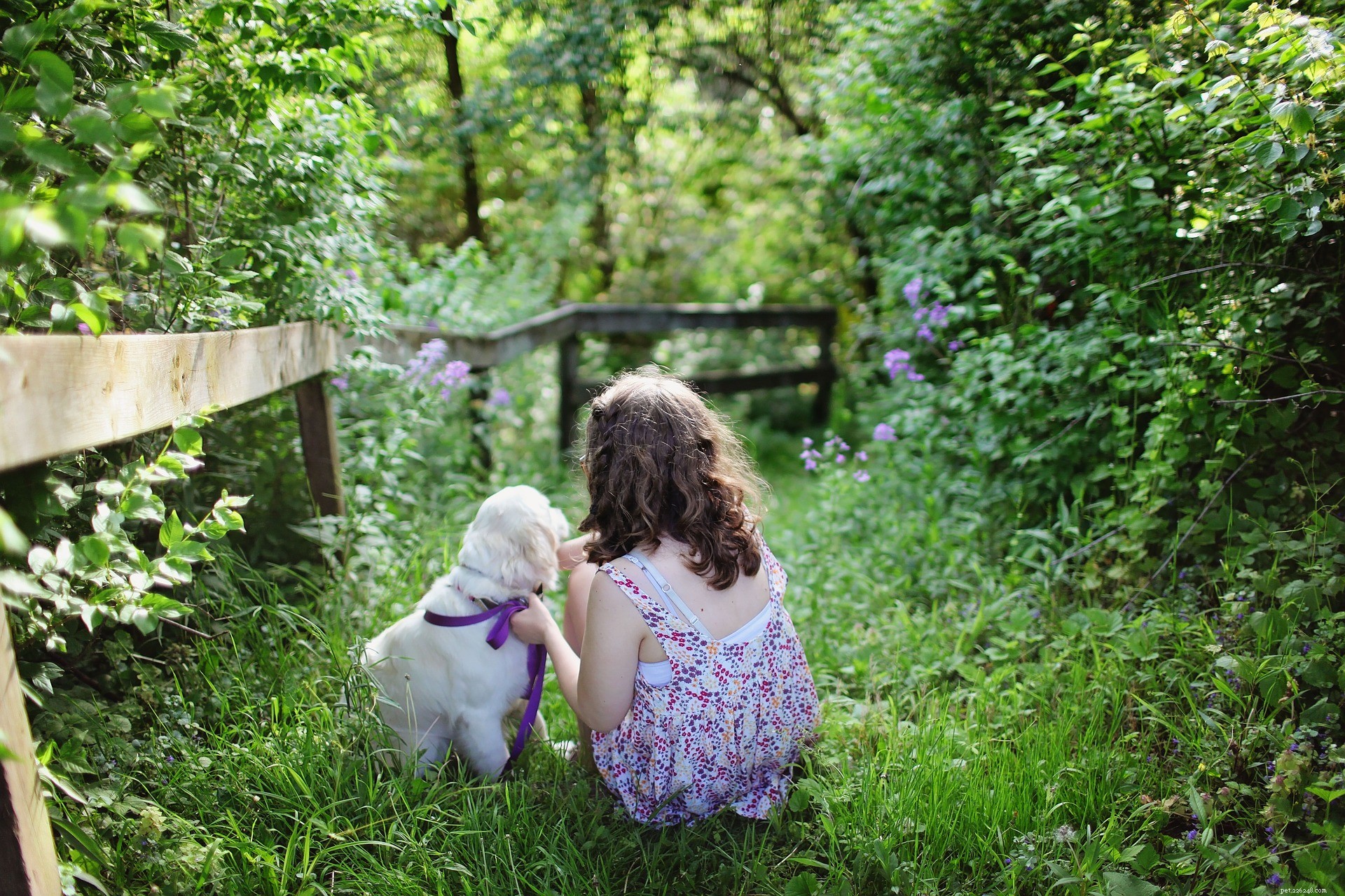 National Puppy Day: Champion Puppy Adoption & Rescue