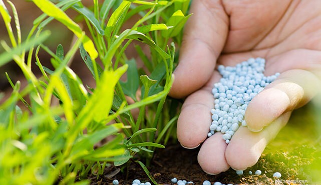 Preventing Pet Poisoning from Fertilizer: A Practical Guide