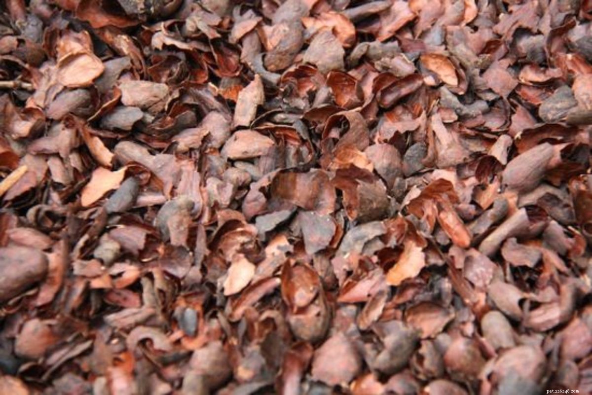 Preventing Pet Poisoning from Fertilizer: A Practical Guide