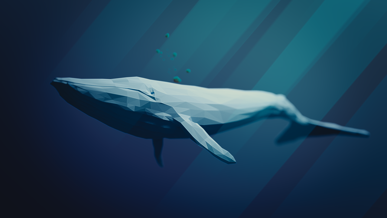 10 Remarkable Marine Mammals Every Enthusiast Should Know