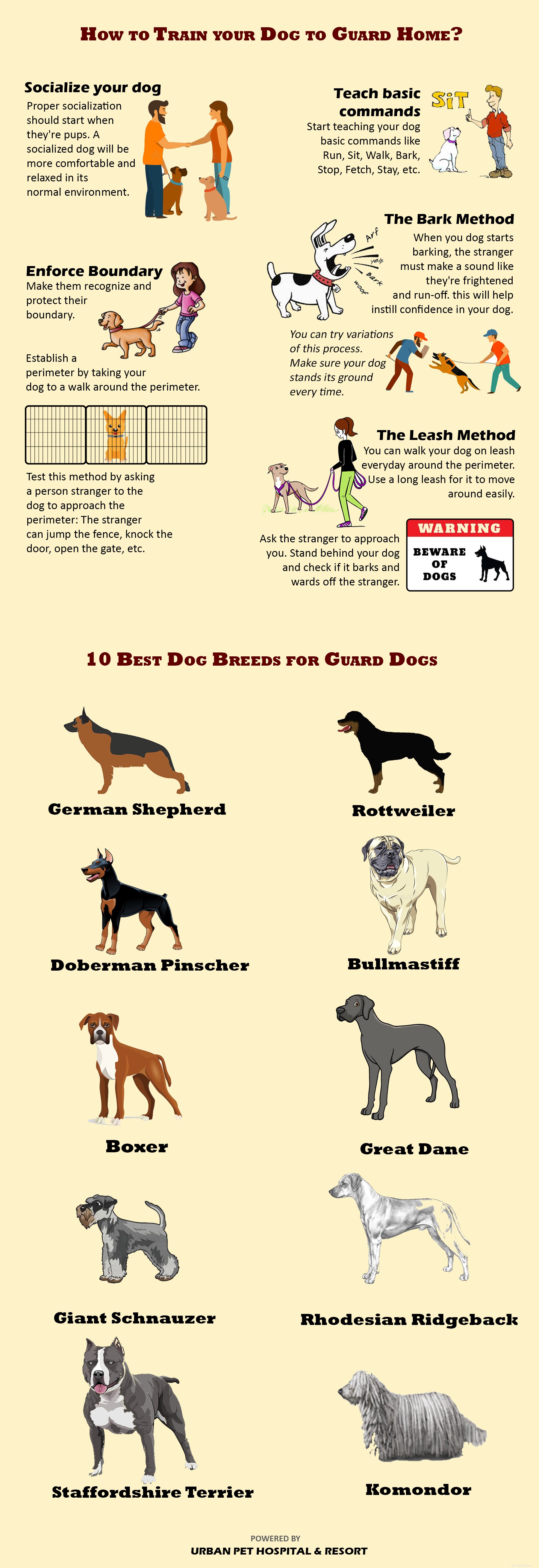 Professional Guide to Training Your Dog as a Home Guardian