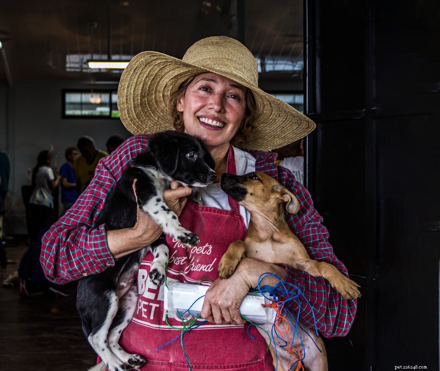 How to Promote Animal Welfare in Your Community: Practical Steps & Impact