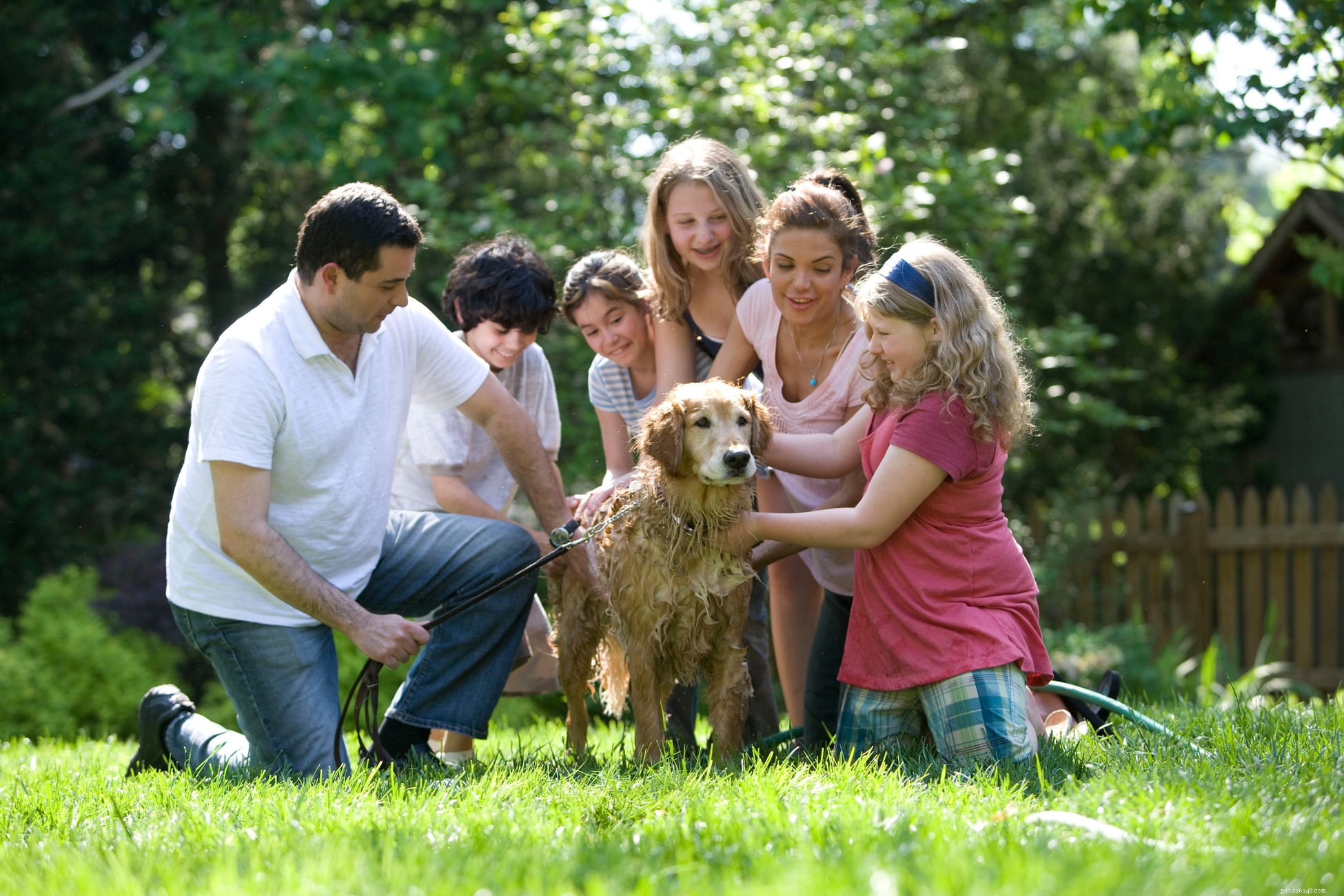 Inside a Dog s Daily Routine: Sleep, Play, and More