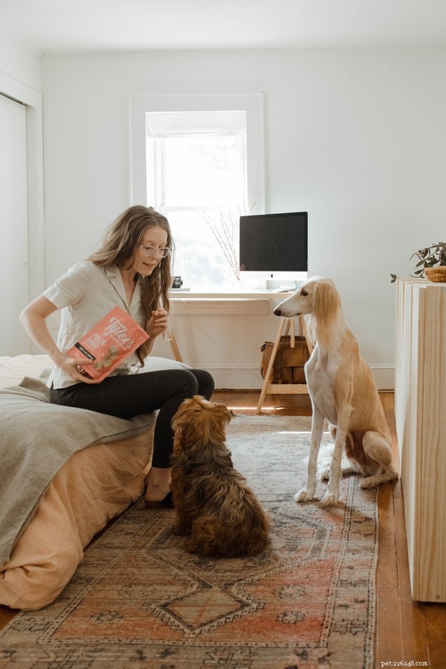 How Dogs React Differently Around Their Human Companions