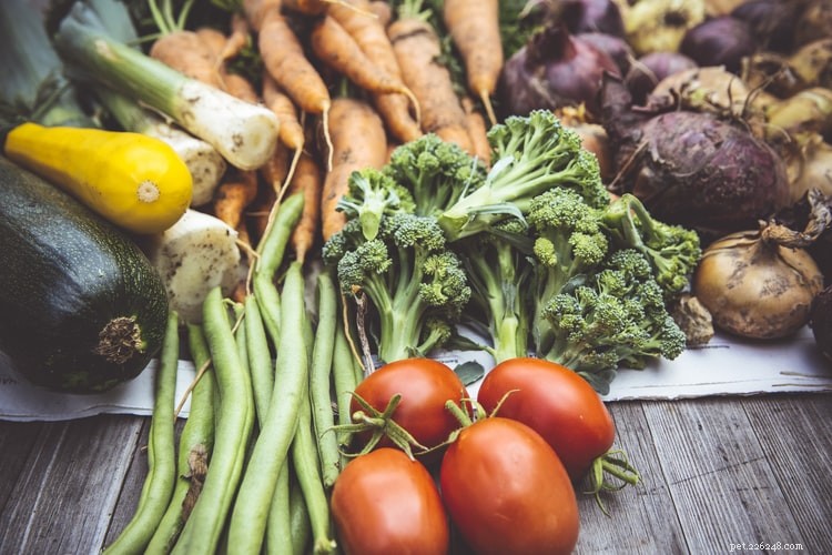 6 Essential Calcium-Rich Foods for Healthy Dogs