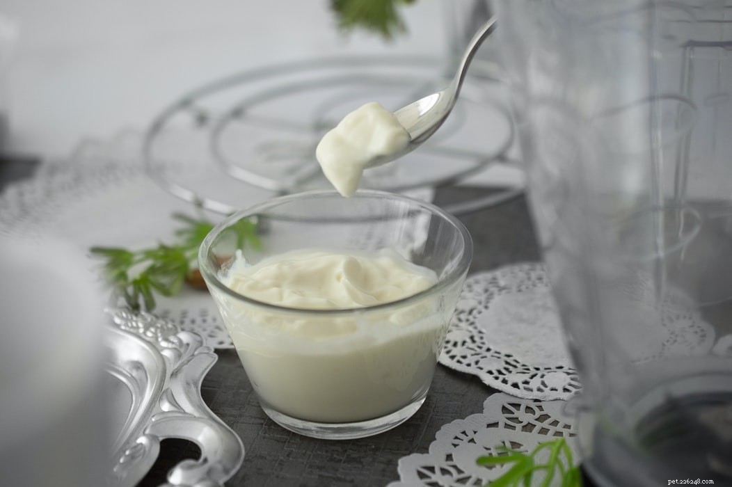 6 Essential Calcium-Rich Foods for Healthy Dogs