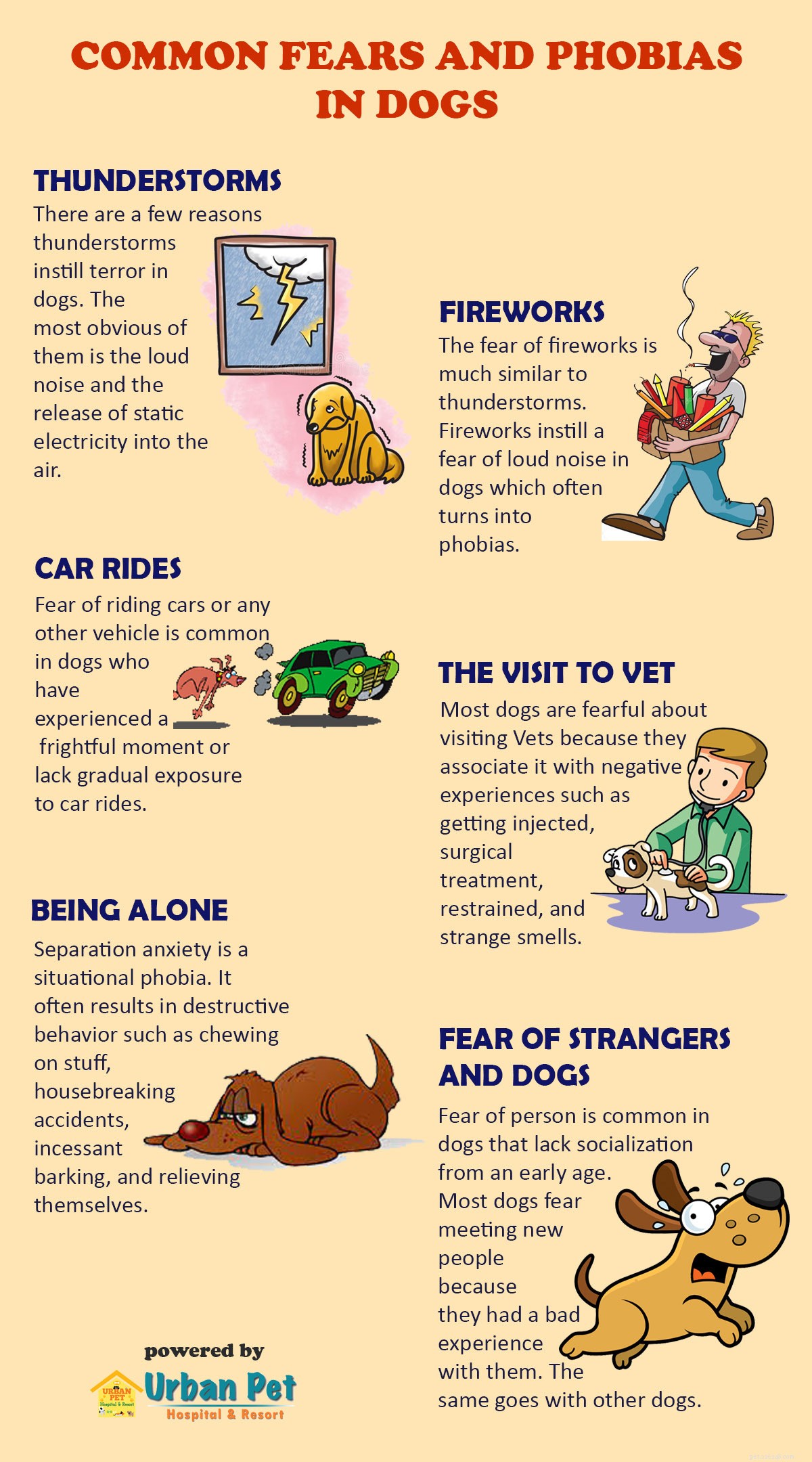 Understanding Your Dog s Common Fears & Phobias