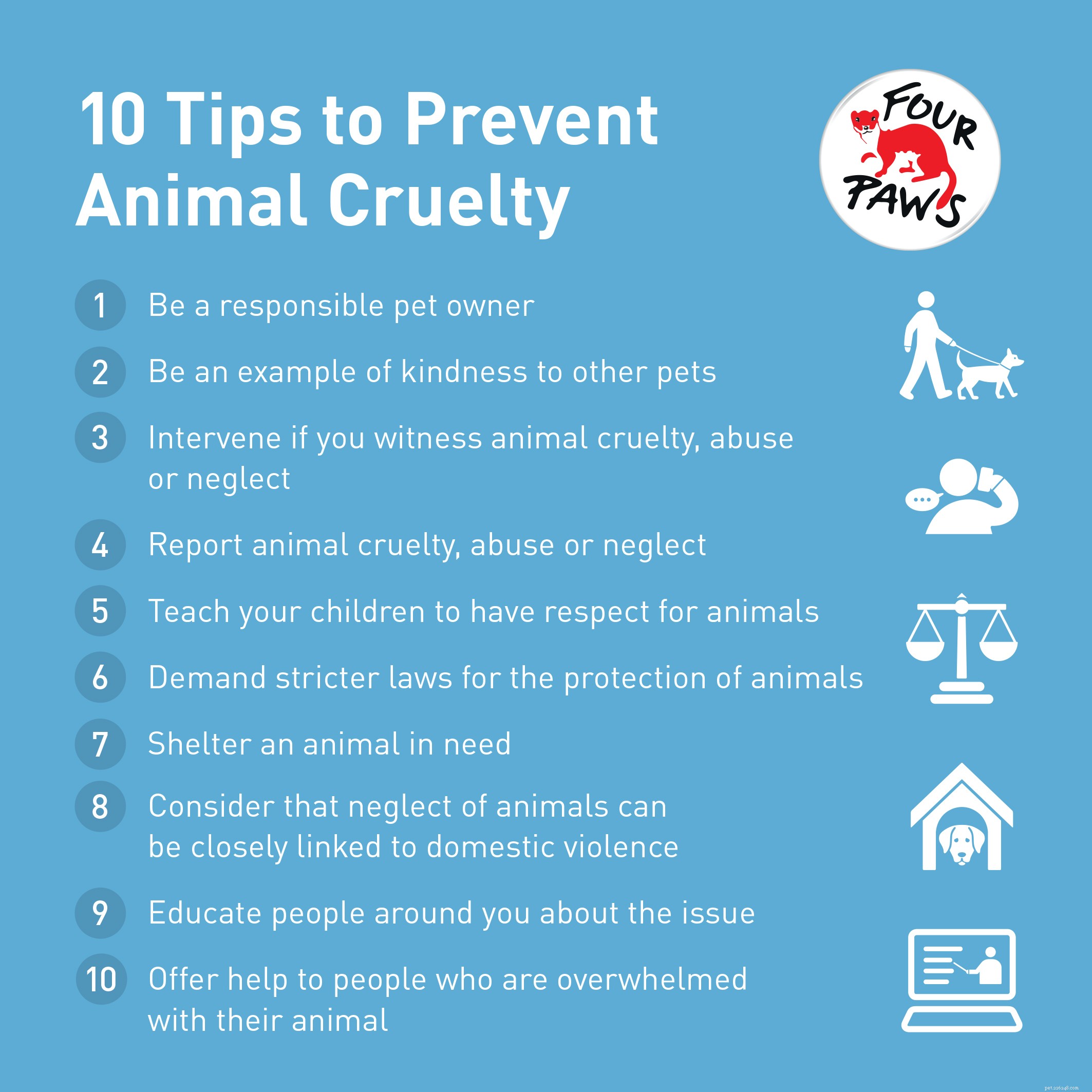 Why Protecting Animal Rights Matters: A Human Responsibility