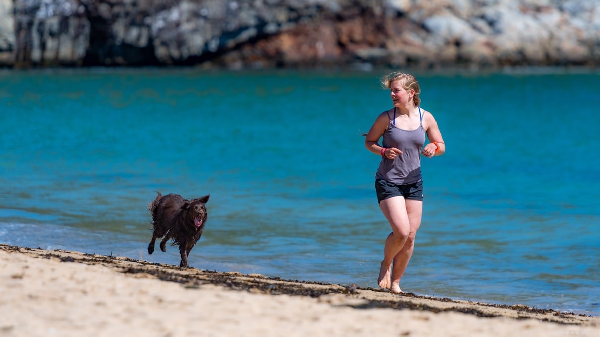 10 Engaging Outdoor Activities to Strengthen the Bond Between You and Your Dog