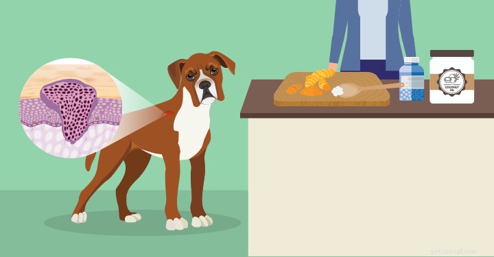 Top 5 Essential Pet Care Guides from 2018
